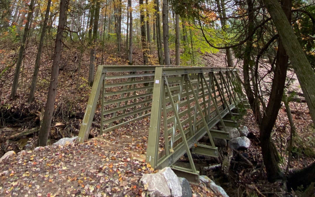 FRP Bridges For Dragon Trail in Stanwood Michigan