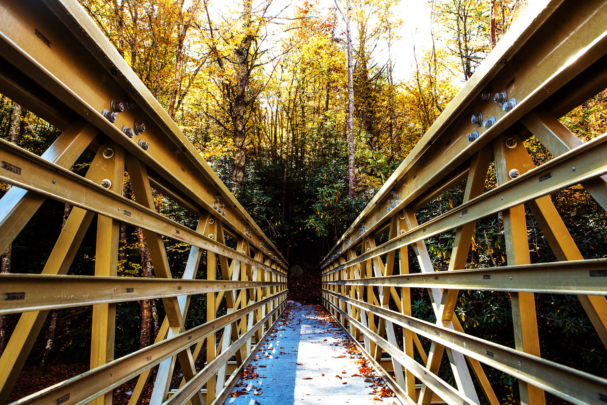 Mountains-to-Sea Trail