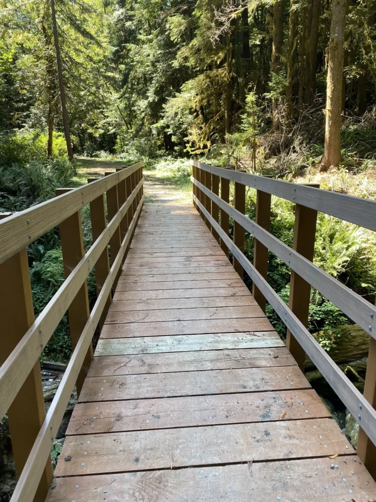 Mill Creek Horse Trail in the Redwood Forest