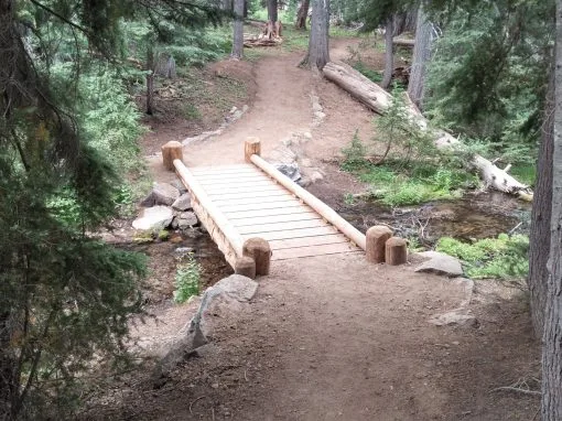 beam ridge vs suspension bridge