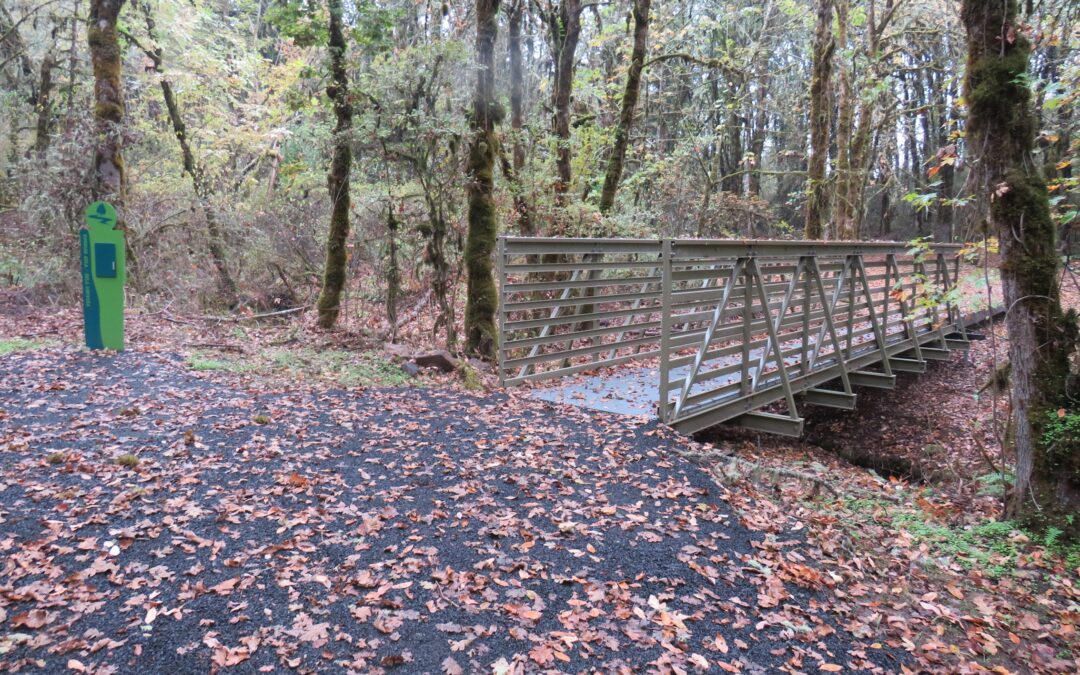 Bridge and Boardwalk for William Finley National Wildlife Refuge
