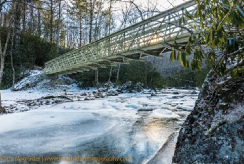 pedestrian bridge costs