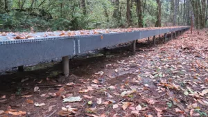 FRP boardwalk in wet environment