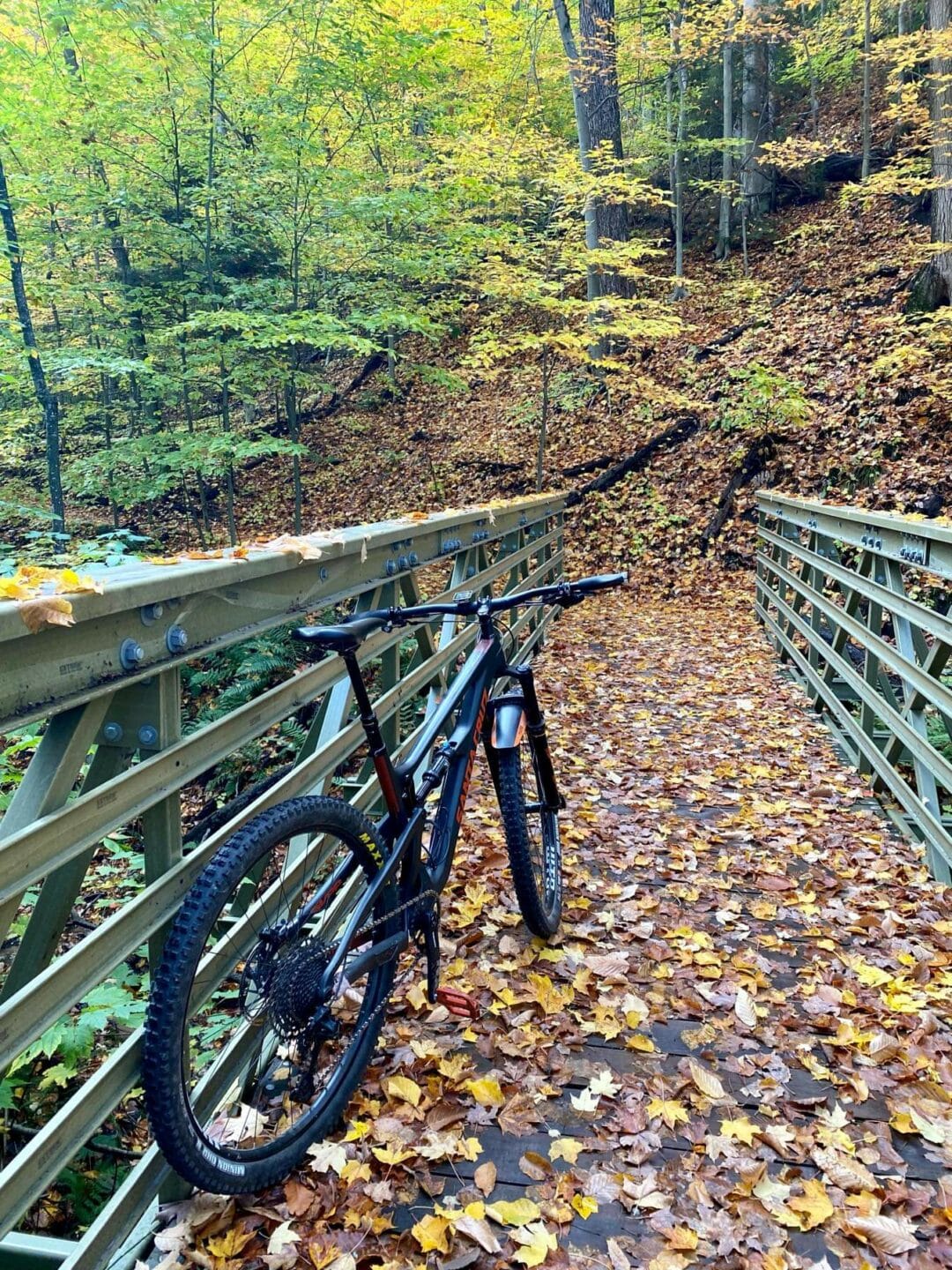 Mtb Feature Railing Mountain Bike Trailhead Project for Munising Bay | Areté Structures